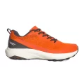 ������.��: ������� BAAS ���.M7513