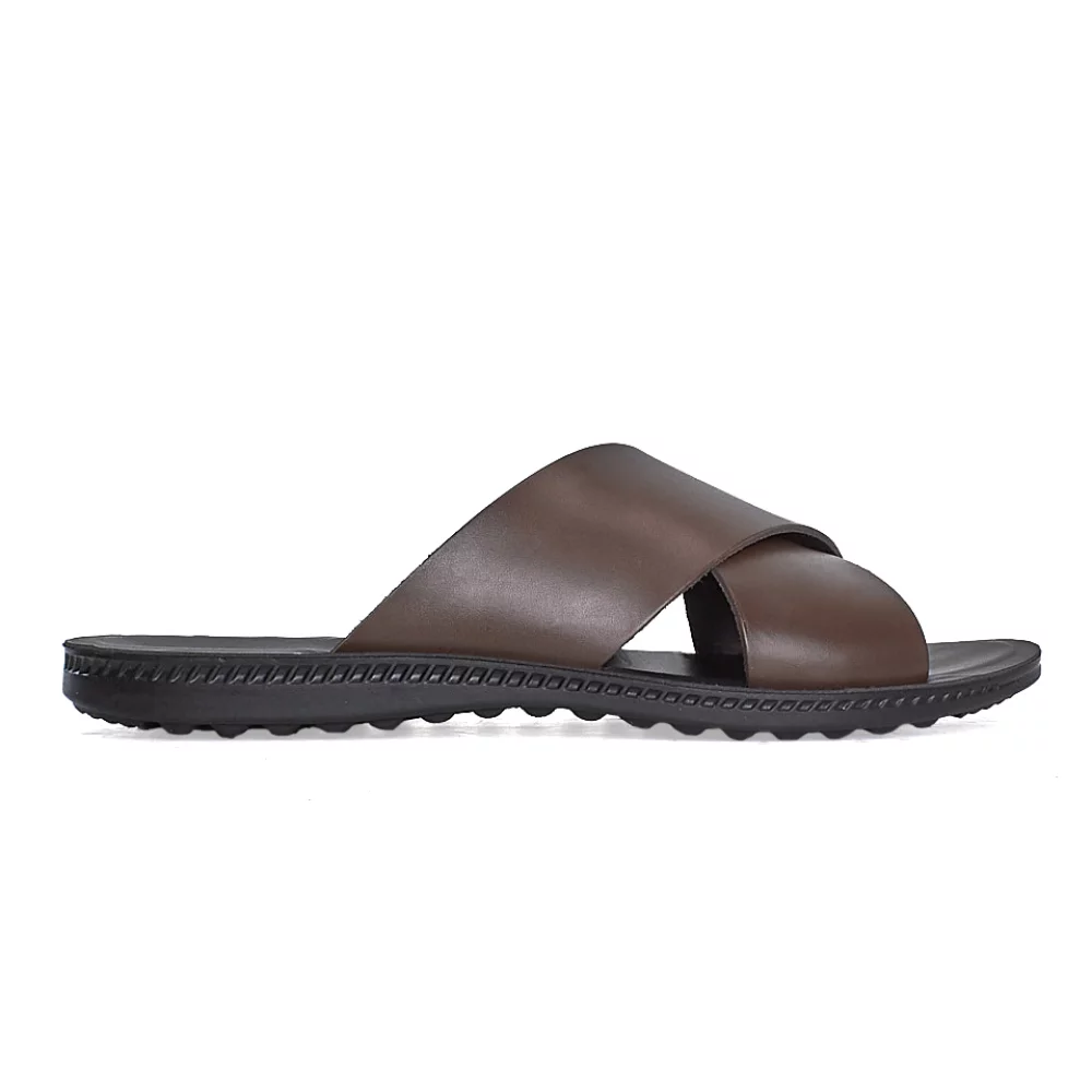  Footprints 021 2   -   . 41 2023     ,,.,  ',  ,,,                , , ,  , ,   ,   , , ,  , ,  ,  ,  ,  ,                