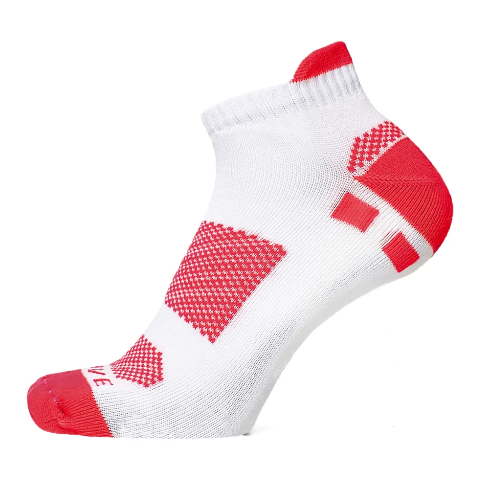  Super Socks 002 S228     36/40 2023     (--),,,2% ,75% ,23% ,  ,Ƴ,,ĳ,           Fanatics fanatik fanatic Super Socks TEFFANY  , ,       , , , , , , , ,   , , , , ,  , ,  ,  ,  ,  ,  ,               , , , , , , , , ,  , , , , ,  ,  , ,  ,  ,  ,  , , , , , , , ,  , , , , ,  ,  , , ,  ,  ,  ,  